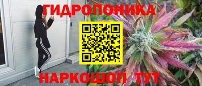 гидра Кунгур
