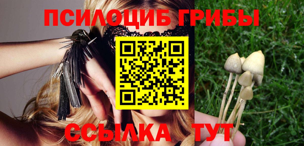 Галлюциногенные грибы Magic Shrooms  Вход с VPN  даркнет сайт  Екатеринбург 