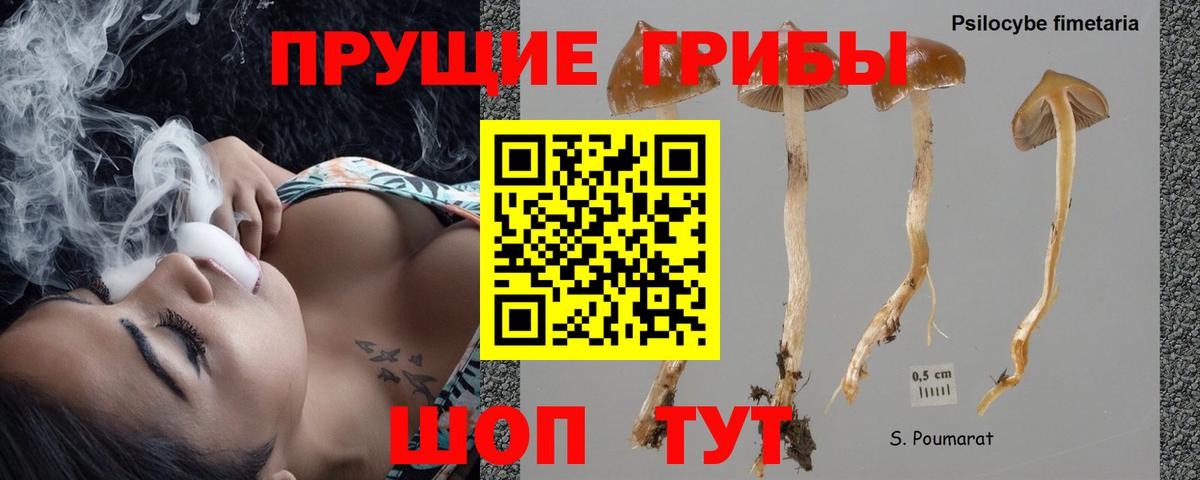Псилоцибиновые грибы GOLDEN TEACHER Екатеринбург